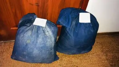 instagram.com/zhambyl_police, фото - Новости Zakon.kz от 15.08.2021 21:13