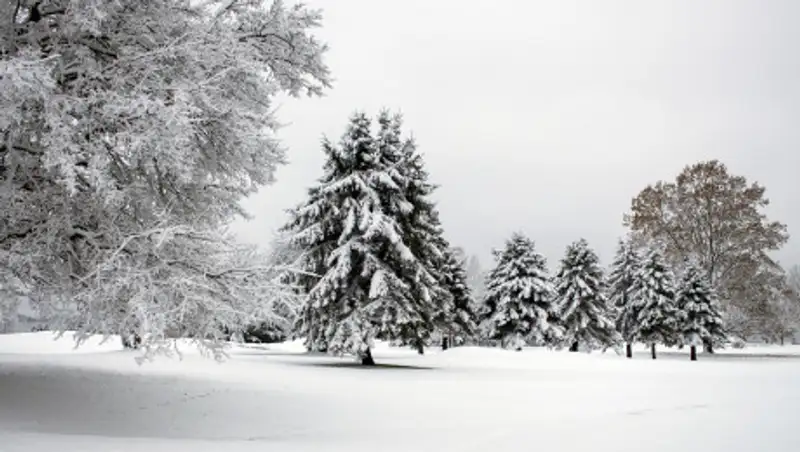 Неустойчивый характер погоды сохраняется в Казахстане