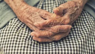 ru.sputniknews.kz, фото - Новости Zakon.kz от 14.01.2018 17:58