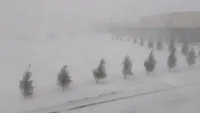 Zakon.kz, фото - Новости Zakon.kz от 23.01.2020 12:52