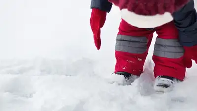 pixabay.com, фото - Новости Zakon.kz от 21.11.2019 01:10