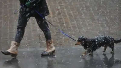 Zakon.kz, фото - Новости Zakon.kz от 11.09.2017 18:08