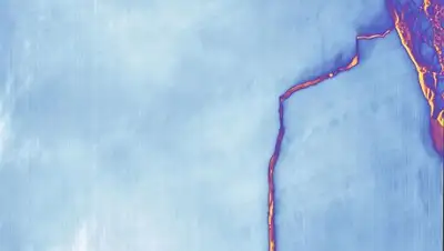 Zakon.kz, фото - Новости Zakon.kz от 15.11.2017 17:29