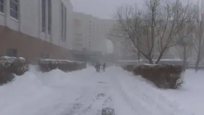 Zakon.kz, фото - Новости Zakon.kz от 23.01.2020 14:28