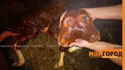 Мой город, фото - Новости Zakon.kz от 06.03.2019 14:45