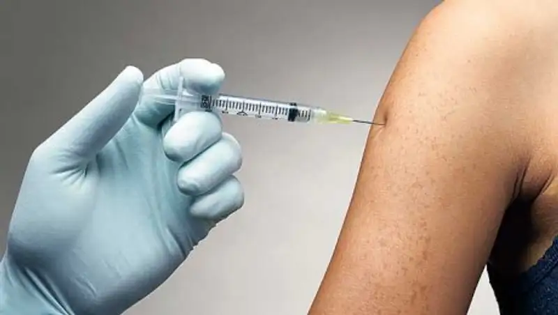 Биыл Павлодар облысында 2500-ге жуы&#1179; бас ірі &#1179;ара мал бруцеллезге шалды&#1179;&#1179;ан