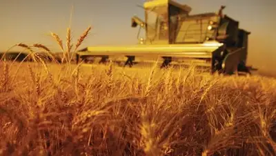 Zakon.kz, фото - Новости Zakon.kz от 10.03.2016 23:53