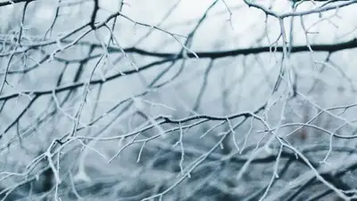 Pixabay, фото - Новости Zakon.kz от 28.01.2020 07:02