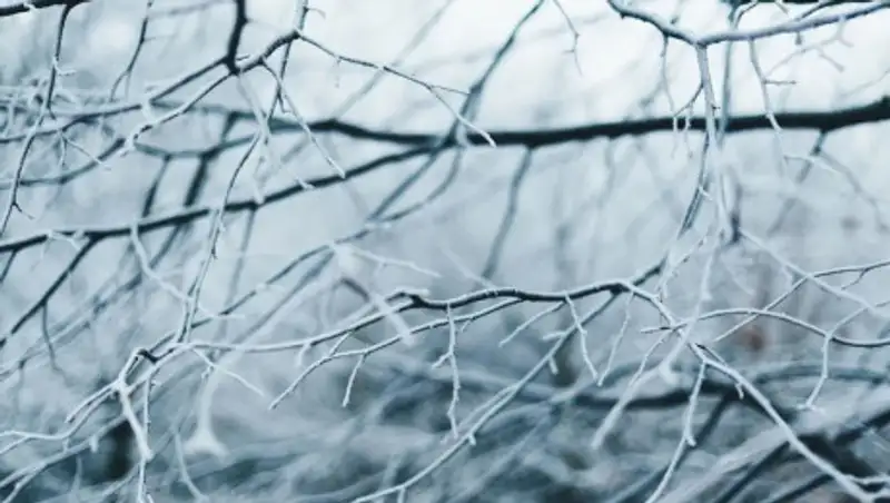 Отменены занятия в Нур-Султане, Караганде и ВКО