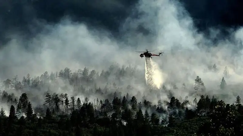 В Восточном Казахстане продолжают бороться с лесным пожаром