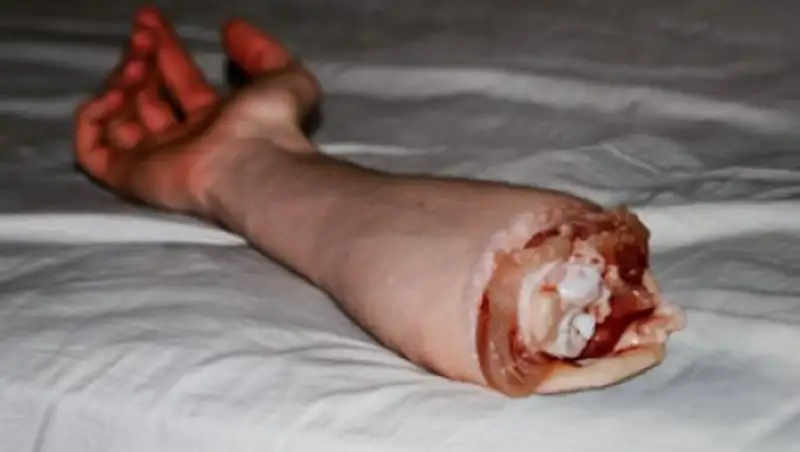 Китаец перевозил в сумке человеческие руки