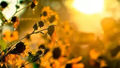 Казинформ, фото - Новости Zakon.kz от 28.06.2018 09:43