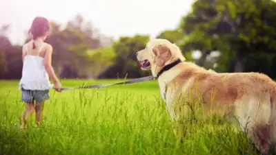 telegraf.uz, фото - Новости Zakon.kz от 23.04.2018 10:43