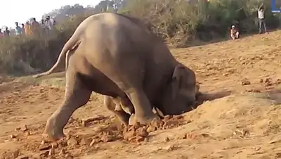 Zakon.kz, фото - Новости Zakon.kz от 30.03.2015 21:20