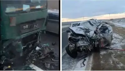 Zakon.kz, фото - Новости Zakon.kz от 12.12.2017 01:18