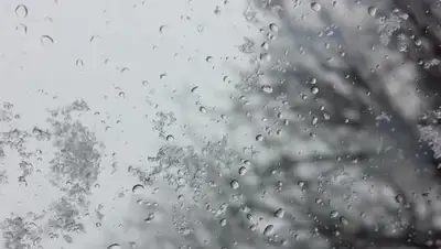 24news.com.ua, фото - Новости Zakon.kz от 10.12.2018 09:30