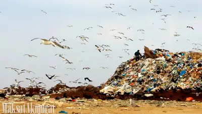 Zakon.kz, фото - Новости Zakon.kz от 05.11.2015 16:39