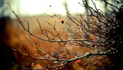 Zakon.kz, фото - Новости Zakon.kz от 15.10.2015 12:32