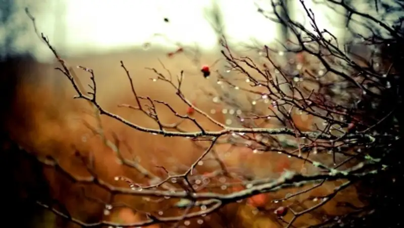 15 октября по-прежнему на большей части Казахстана ожидается дождь, усиление ветра, туман