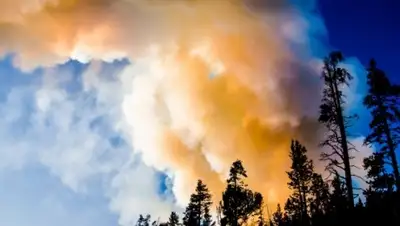 Zakon.kz, фото - Новости Zakon.kz от 30.08.2015 06:25