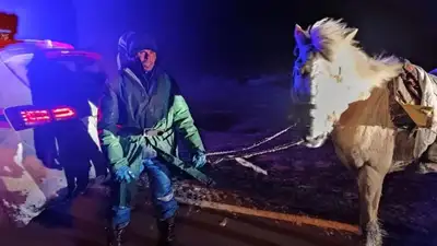 Заблудившимся в степи пастухам помогли Актюбинские спасатели, фото - Новости Zakon.kz от 16.04.2023 16:12