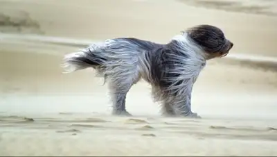 Zakon.kz, фото - Новости Zakon.kz от 13.08.2017 00:05