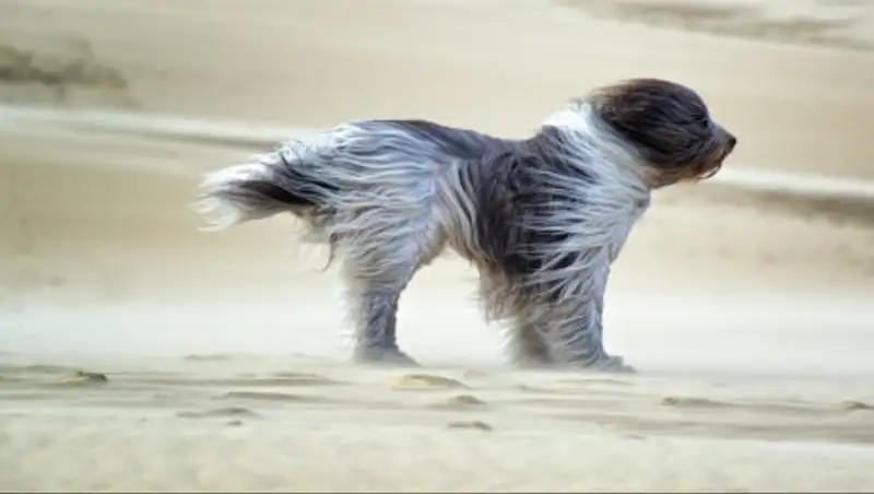 В четырех регионах Казахстана объявили штормовое предупреждение