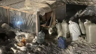 Полтонны наркотиков изъяли в шалаше у двух жителей Жамбылской области, фото - Новости Zakon.kz от 12.12.2022 15:51