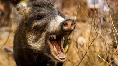 fotovmire.ru, фото - Новости Zakon.kz от 28.11.2019 00:35