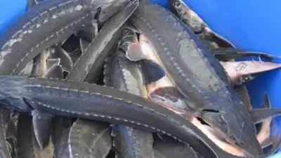 arnapress.kz, фото - Новости Zakon.kz от 28.02.2020 13:13