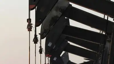 Zakon.kz, фото - Новости Zakon.kz от 24.03.2016 22:06