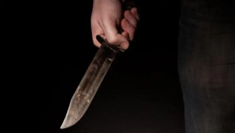 В Алматинской области задержан мужчина, нападавший на людей с ножом