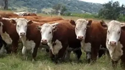 Zakon.kz, фото - Новости Zakon.kz от 27.09.2016 17:11