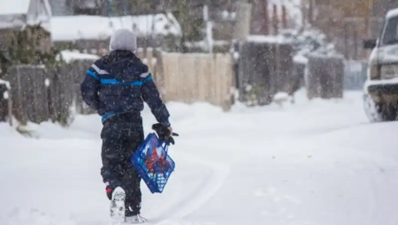 В Астане из-за мороза отменили занятия