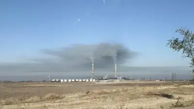 cc-sauran.kz, фото - Новости Zakon.kz от 10.04.2019 12:29