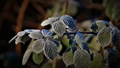 pixabay.com, фото - Новости Zakon.kz от 03.05.2021 16:08