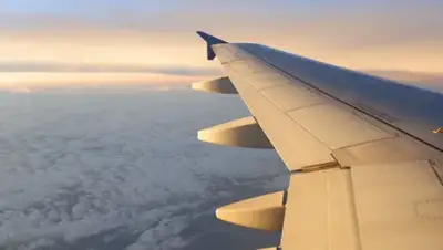 pexels.com, фото - Новости Zakon.kz от 24.08.2020 12:50