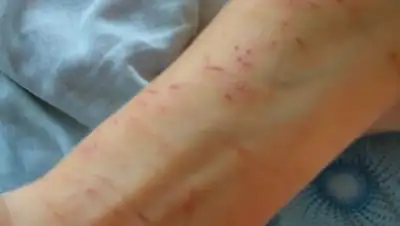  zhaloby_astana, фото - Новости Zakon.kz от 25.11.2019 15:33