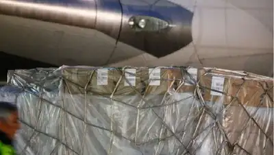 отчет исследователей, фото - Новости Zakon.kz от 16.03.2022 10:35