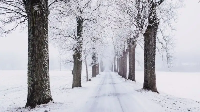 Синоптики рассказали, какую погоду принесет циклон в Казахстан в ближайшие дни
