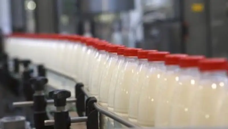 Казахстан входит в тройку лидеров по объему потребления молока