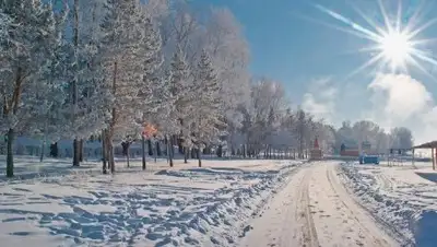 Zakon.kz, фото - Новости Zakon.kz от 21.12.2016 22:12