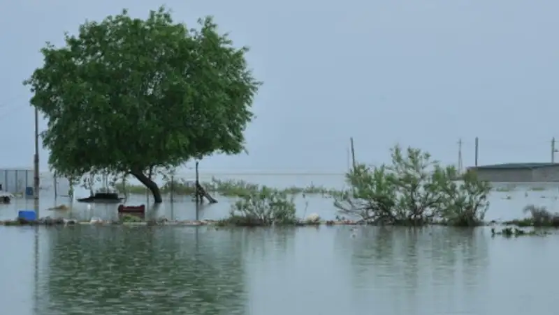 Открыт специальный фонд для помощи мактааральцам