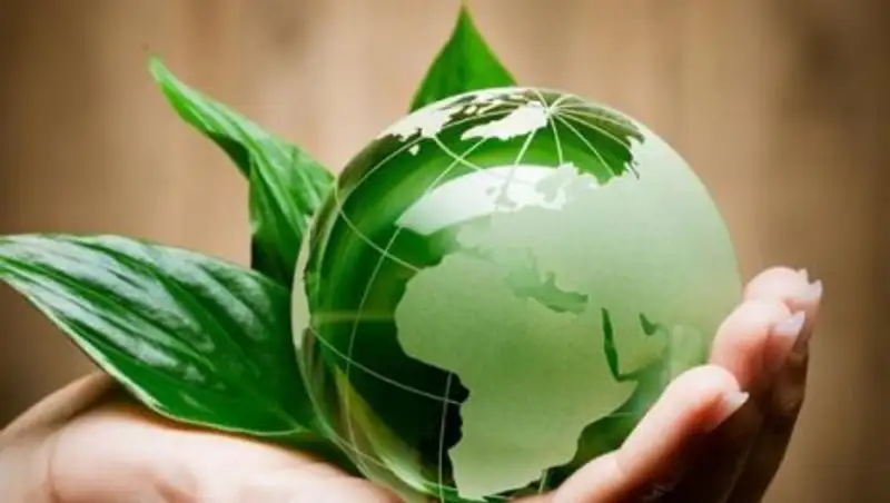 Новый экологический Кодекс будет учитывать пожелания инвесторов нефтегазового сектора