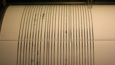 SunPress, фото - Новости Zakon.kz от 16.08.2020 20:19