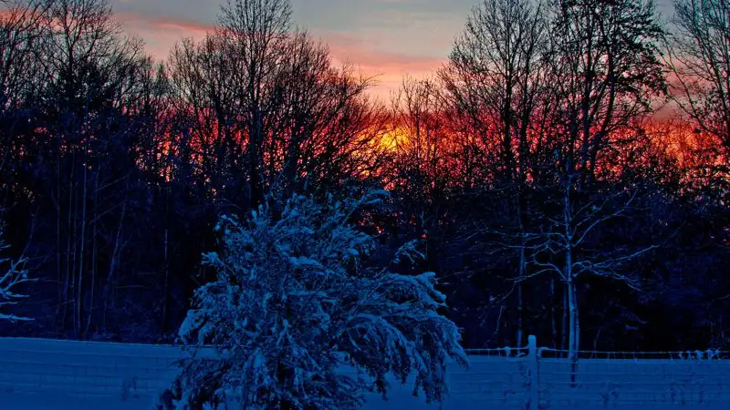 Синоптики рассказали, какой будет погода 6 декабря