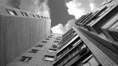 privet, фото - Новости Zakon.kz от 01.03.2018 12:44