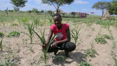 Xinhua, фото - Новости Zakon.kz от 24.08.2020 15:52