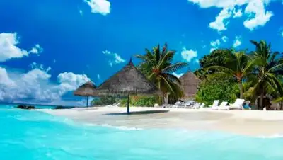 из открытых источников., фото - Новости Zakon.kz от 09.07.2021 19:27