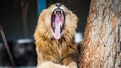 Christoph Schmidt / DPA / Globallookpress.com, фото - Новости Zakon.kz от 15.08.2018 10:49